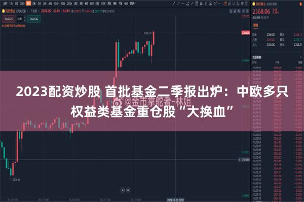 2023配资炒股 首批基金二季报出炉：中欧多只权益类基金重仓股“大换血”