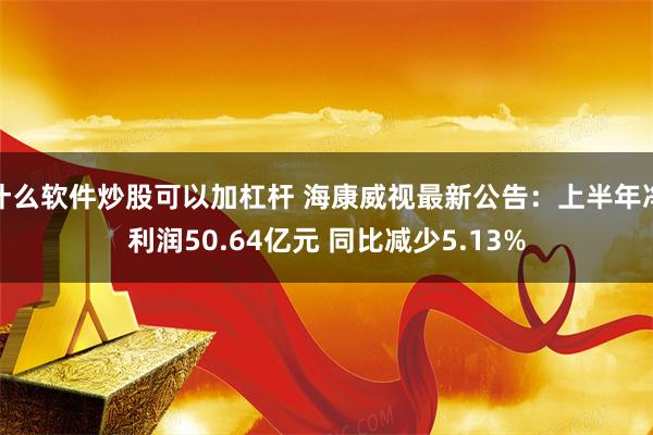 什么软件炒股可以加杠杆 海康威视最新公告：上半年净利润50.64亿元 同比减少5.13%