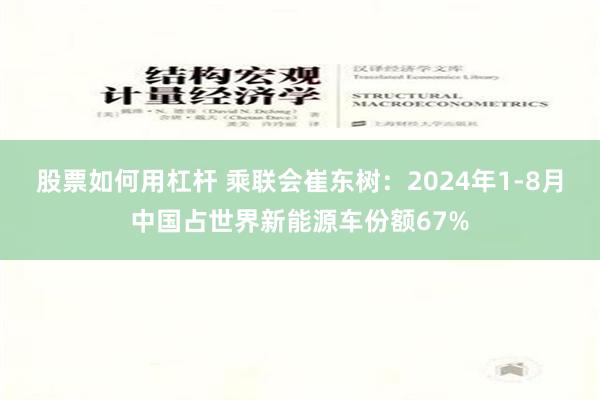 股票如何用杠杆 乘联会崔东树：2024年1-8月中国占世界新能源车份额67%