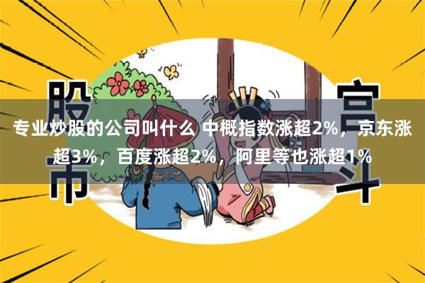 专业炒股的公司叫什么 中概指数涨超2%，京东涨超3%，百度涨超2%，阿里等也涨超1%