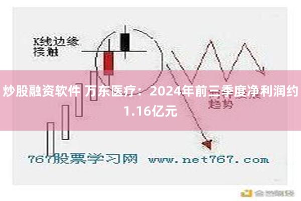 炒股融资软件 万东医疗：2024年前三季度净利润约1.16亿元