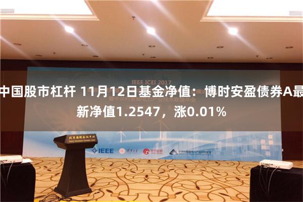 中国股市杠杆 11月12日基金净值：博时安盈债券A最新净值1.2547，涨0.01%