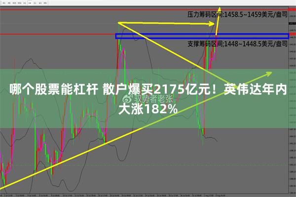 哪个股票能杠杆 散户爆买2175亿元！英伟达年内大涨182%