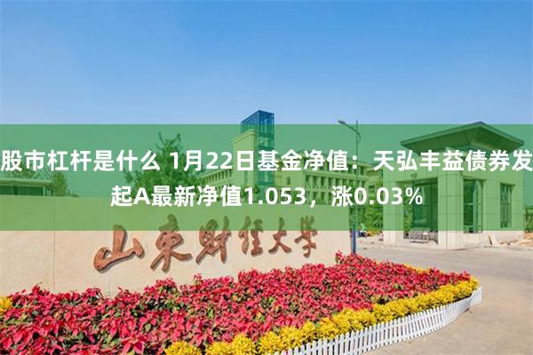 股市杠杆是什么 1月22日基金净值：天弘丰益债券发起A最新净值1.053，涨0.03%