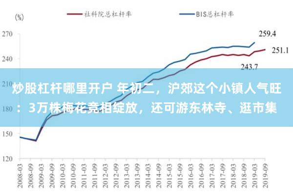 炒股杠杆哪里开户 年初二，沪郊这个小镇人气旺：3万株梅花竞相绽放，还可游东林寺、逛市集